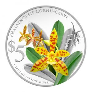 singapore-orchids-2014-phalaenopsis-cornu-cervi-1-oz-silber-koloriert