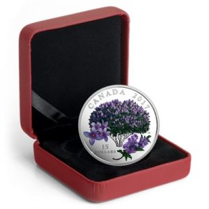 celebration-of-spring-lilac-blossoms-silber-koloriert-3