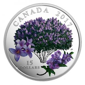 celebration-of-spring-lilac-blossoms-silber-koloriert