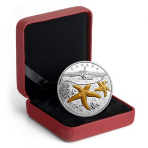 rcm-sea-to-sea-1-oz-silber-vergoldet-etui