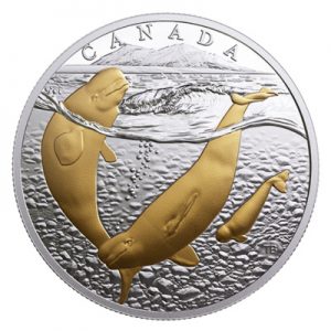 rcm-sea-to-sea-beluga-whale-1-oz-silber-vergoldet