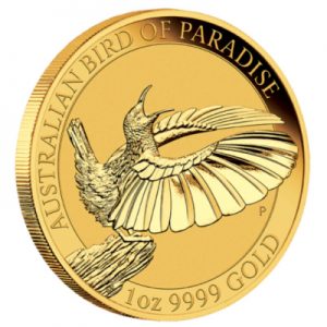 australian-bird-of-paradise-1-oz-gold