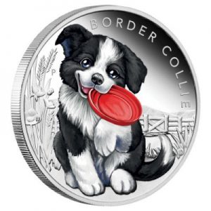 puppies-border-collie-half-oz-silber-koloriert
