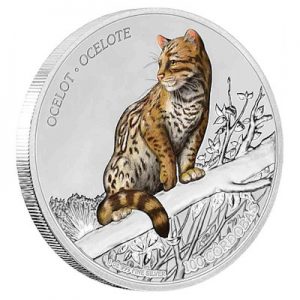 wildlife-of-nicaragua-ozelot-1-oz-silber-koloriert