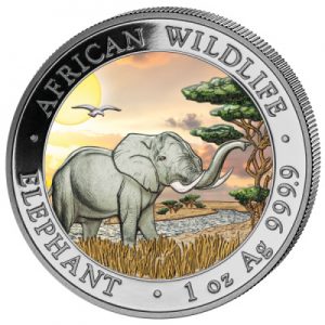 african-wildlife-elephant-2019-1-oz-silber-koloriert