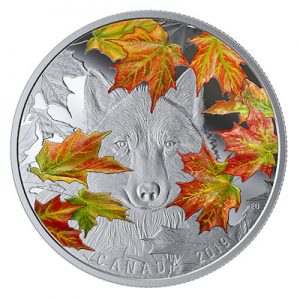 canada-wily-wolf-2-oz-silber-koloriert