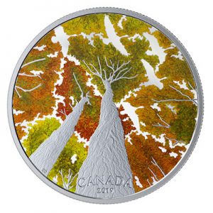 canadian-canopy-kanadagans-2-oz-silber-koloriert