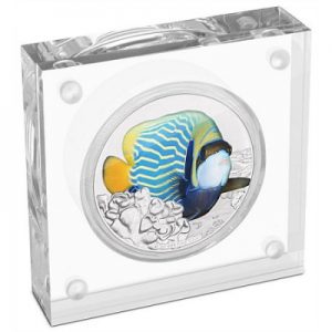 reef-fish-angelfisch-1-oz-silber-koloriert-etui