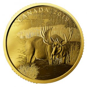 kanadischer-elch-1-oz-gold