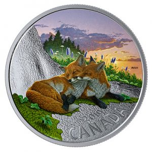 canadian-fauna-polarfuchs-1-oz-silber-koloriert