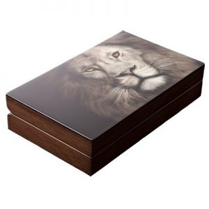 big-five-loewe-doppelkapsel-2-oz-silber-etui-geschlossen