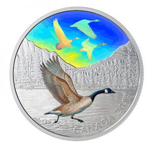 canada-majestic-birds-kanadagans-2-oz-silber-koloriert