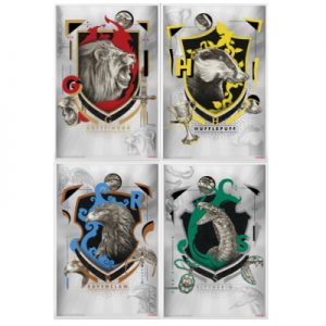 harry-potter-houses-of-hogwarts-banknoten-set