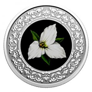 floral-emblems-of-canada-waldlilie-silber-koloriert