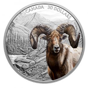 imposing-icons-bighorn-sheep-2-oz-silber-koloriert