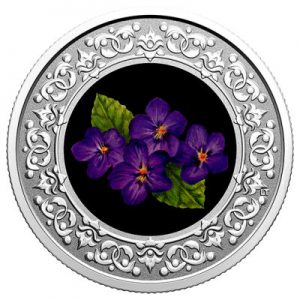 floral-emblems-of-canada-purple-violet-silber-koloriert