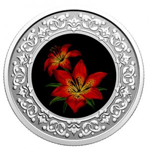 floral-emblems-of-canada-western-red-lily-silber-koloriert