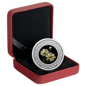 floral-emblems-of-canada-silberwurz-silber-koloriert-etui