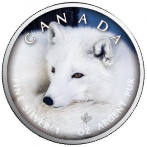 maple-leaf-wildlife-arctic-fox-1-oz-silber-koloriert