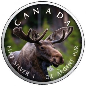 maple-leaf-wildlife-moose-1-oz-silber-koloriert