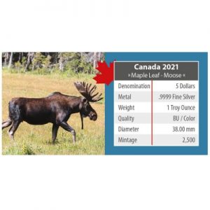 maple-leaf-wildlife-moose-trail-1-oz-silber-koloriert-verpackung