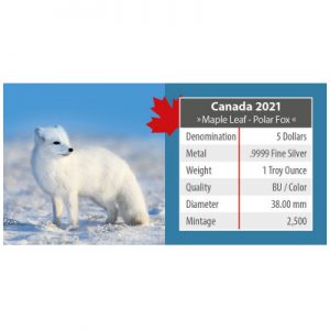 maple-leaf-wildlife-polar-fox-1-oz-silber-koloriert-3