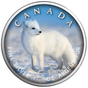 maple-leaf-wildlife-polar-fox-1-oz-silber-koloriert