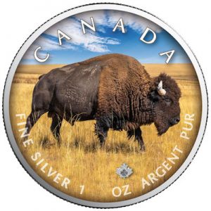 maple-leaf-wildlife-bison-unterwegs-1-oz-silber-koloriert