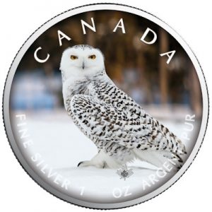 maple-leaf-wildlife-schneeeule-unterwegs-1-oz-silber-koloriert