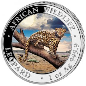 african-wildlife-leopard-2021-1-oz-silber-koloriert