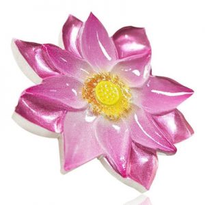 blumenserie-lotus-1-oz-silber-koloriert