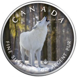 maple-leaf-on-the-trails-of-wildlife-arctic-wolf-1-oz-silber-koloriert