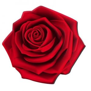 blumenserie-rose-1-oz-silber-koloriert