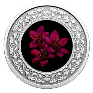 floral-emblems-of-canada-nunavut-silber