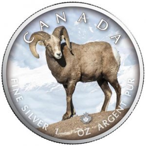 maple-leaf-on-the-trails-of-wildlife-bighorn-sheep-1-oz-silber-koloriert