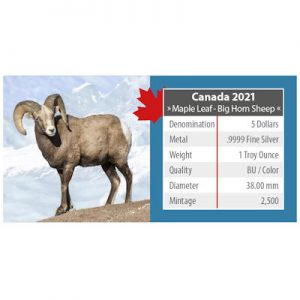 maple-leaf-on-the-trails-of-wildlife-bighorn-sheep-1-oz-silber-koloriert-verpackung