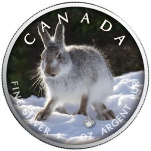 maple-leaf-on-the-trails-of-wildlife-snow-hare-1-oz-silber-koloriert