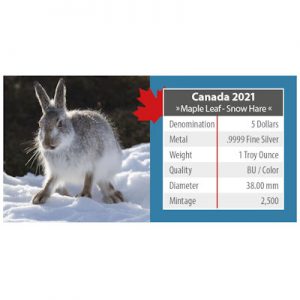 maple-leaf-on-the-trails-of-wildlife-snow-hare-1-oz-silber-koloriert-verpackung