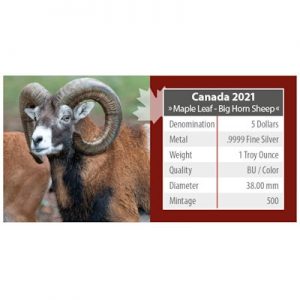 maple-leaf-wildlife-bighorn-sheep-1-oz-silber-koloriert-verpackung