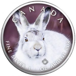 maple-leaf-wildlife-snow-hare-1-oz-silber-koloriert