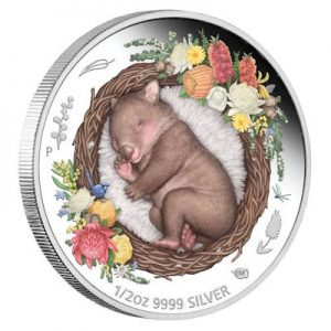 dreaming-down-under-wombat-half-oz-silber-koloriert