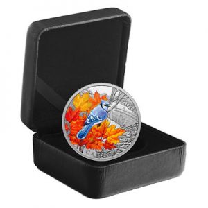 farbenfrohe-voegel-blauhaeher-1-oz-silber-koloriert-etui