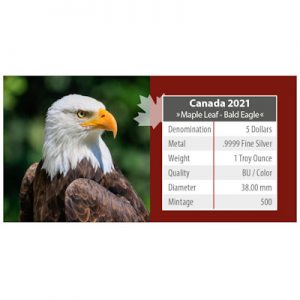 maple-leaf-wildlife-bald-eagle-1-oz-silber-koloriert-karte