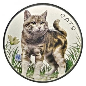 fiji-cats-1-oz-silber-koloriert