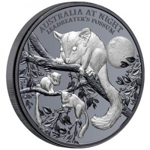 australia-at-night-possum-1-oz-silber