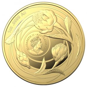 australische-wildblumen-waratah-1-oz-gold-2