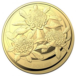 australische-wildblumen-waratah-1-oz-gold