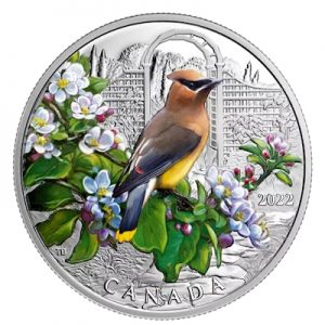 colourful-birds-of-canada-ceadr-waxwing-1-oz-silber-koloriert