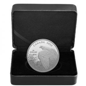 rcm-vantage-point-bald-eagle-2-oz-silber-etui