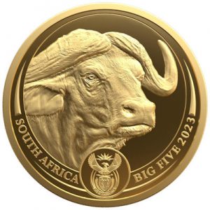 big-five-ii-buffalo-gold